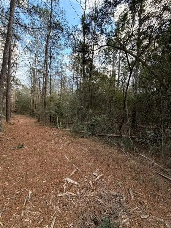 TBD 6.982 AC Providence Estates Road, Amite, LA 70422 - Image #3