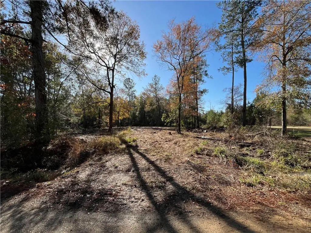 30840 Hubert Stilley Road, Independence, LA 70443 - Image #1