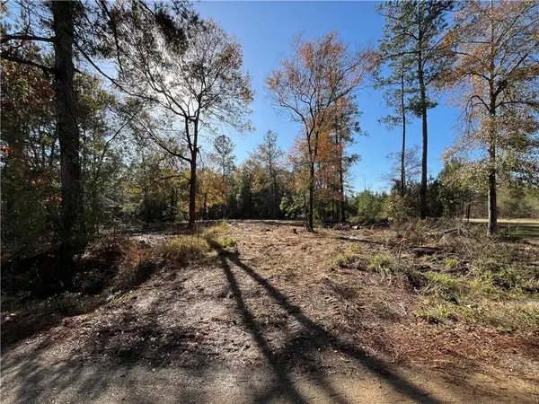 30840 Hubert Stilley Road, Independence, LA 70443