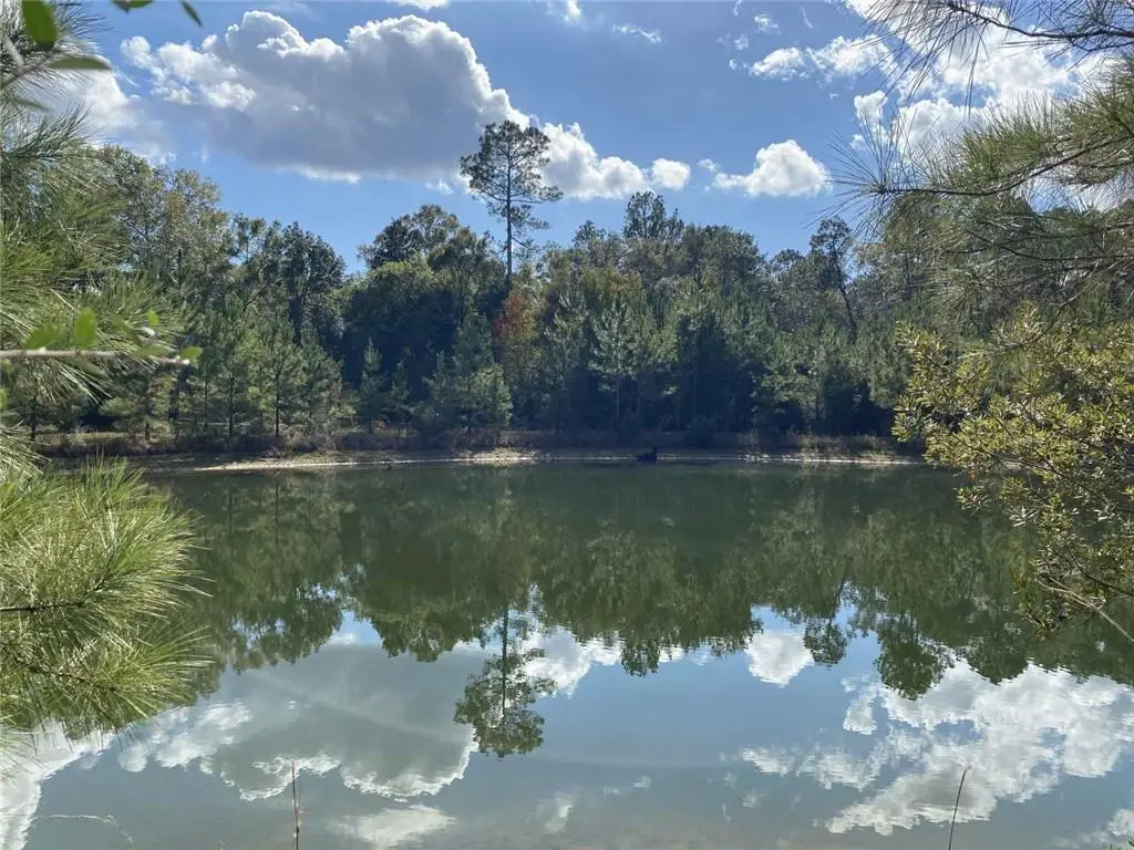 74231 Jack Lloyd Road, Abita Springs, LA 70420 - Image #1