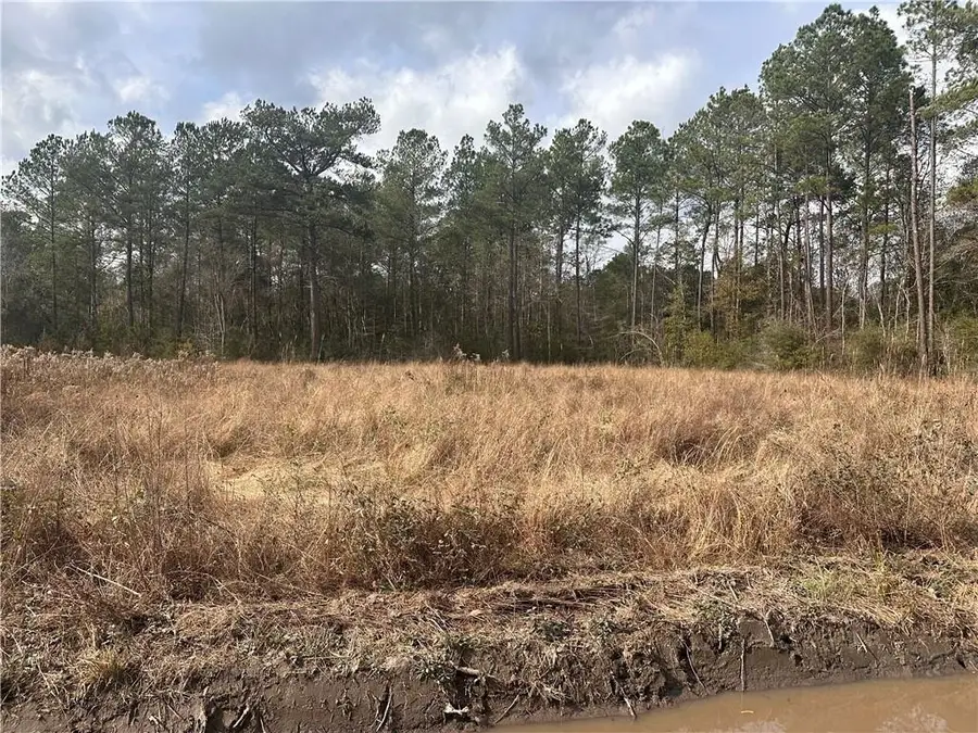 Lot 12 Trap Street, Abita Springs, LA 70420 - Image #3