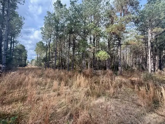 00 Burch Road, Mount Hermon, LA 70450 - Image #2