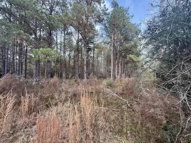 00 Burch Road, Mount Hermon, LA 70450 - Image #3