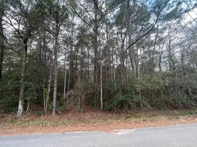 000 Howard O'berry Road, Pearl River, LA 70452 - Image #3