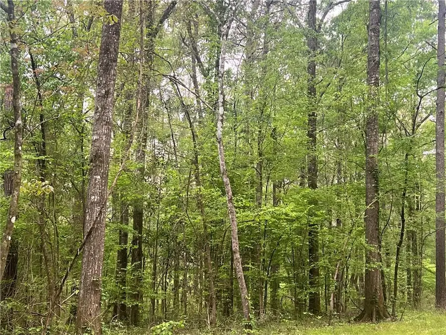 0 Hooper Road, Deville, LA 71328 - Image #3