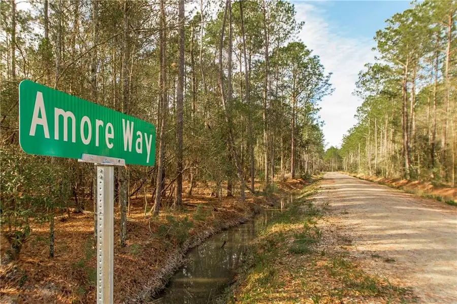 18382 Amore Way, Covington, LA 70435 - Image #3