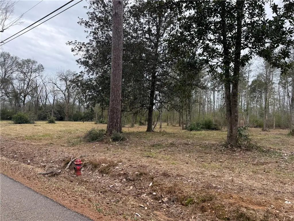 63271 Hill Street, Roseland, LA 70456 - Image #1