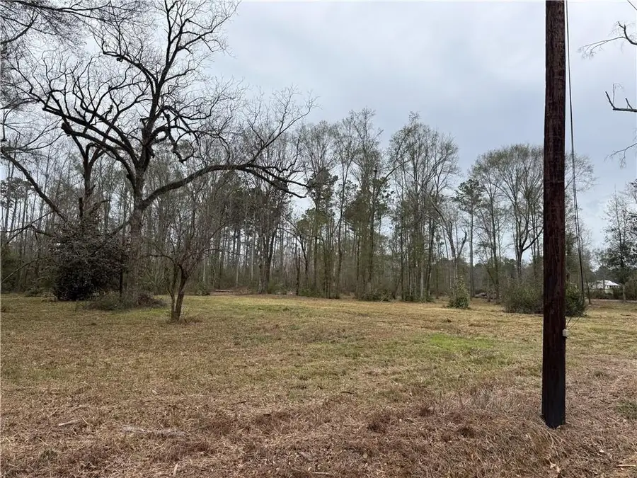 63271 Hill Street, Roseland, LA 70456 - Image #3