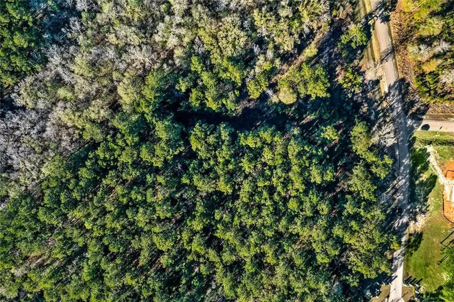 12509 Goldentop Drive, Covington, LA 70433 - Image #2