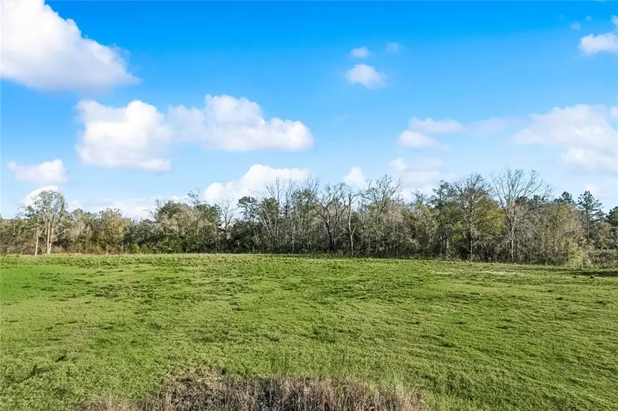 12572 Goldentop Drive, Covington, LA 70433 - Image #2