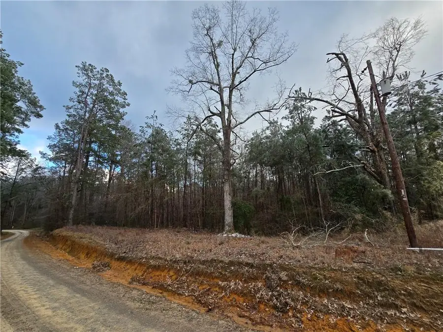 0 C Smith Road, Leesville, LA 71446 - #2