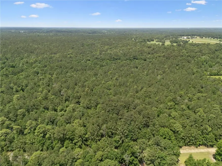 Parcel C (12.82 Acres) Dreamland Court, Folsom, LA 70437 - #3