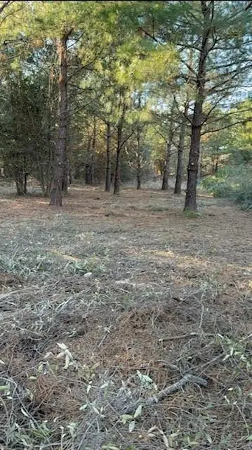 29 Jennie Lane, Picayune, MS 39466