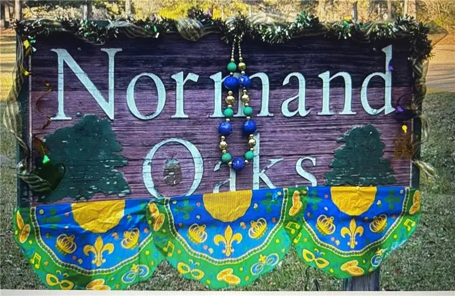 15168 Arleen Normand Drive, Covington, LA 70435 - #2