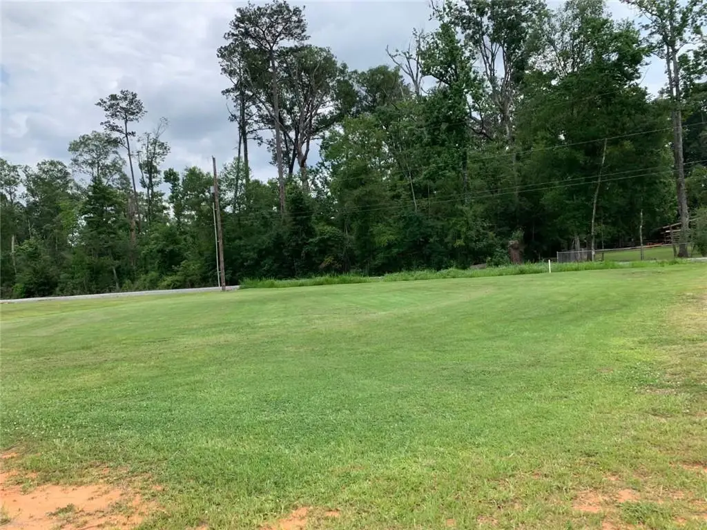 29390 Gaylord Road, Walker, LA 70785 - #1