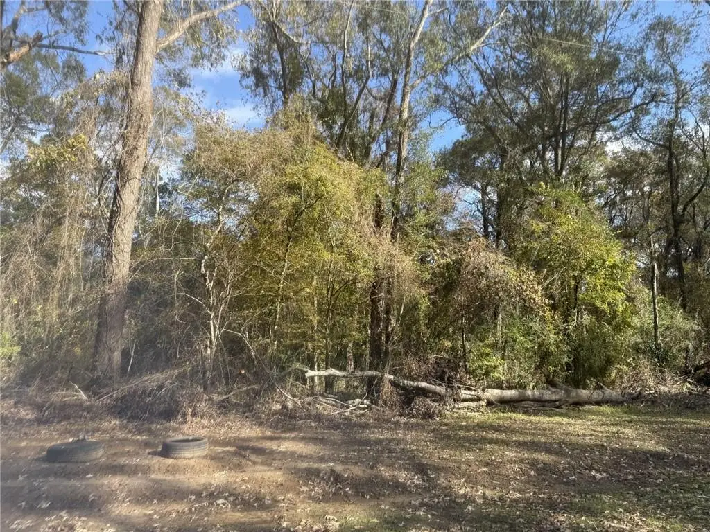 Lot 27 Watershed Road, Ville Platte, LA 70586 - Image #1