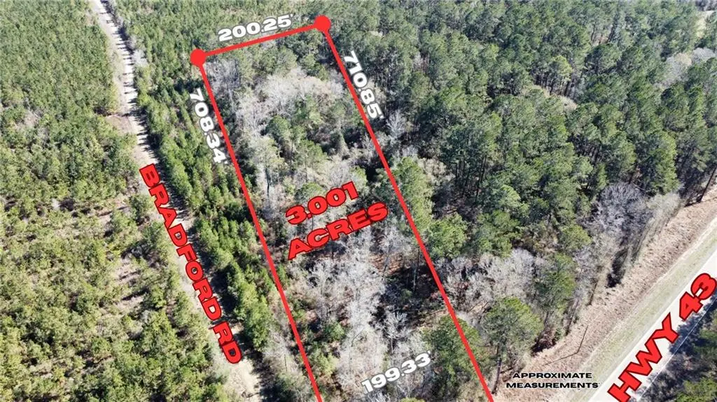 3 Acres Hwy 43 Highway, Independence, LA 70443 - #1