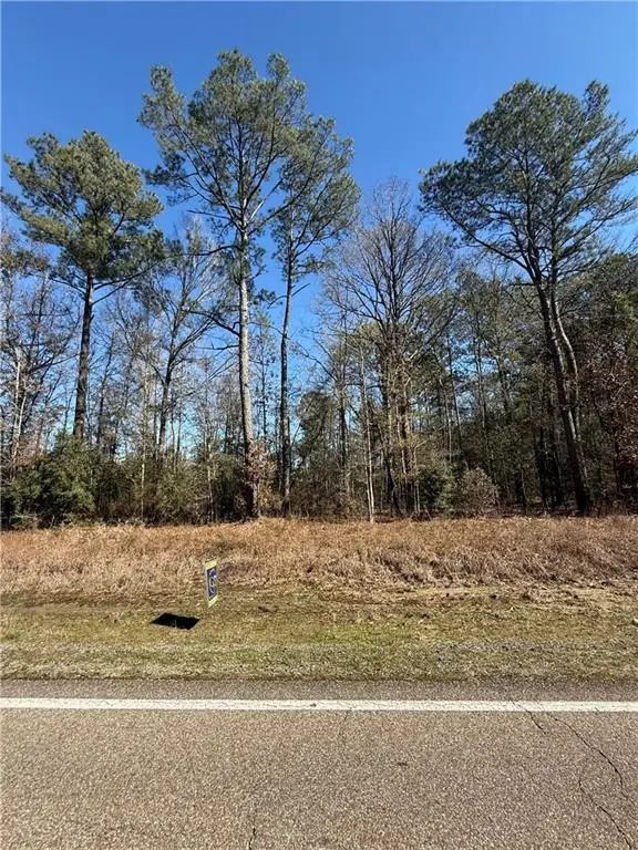 3 Acres Hwy 43 Highway, Independence, LA 70443 - #3