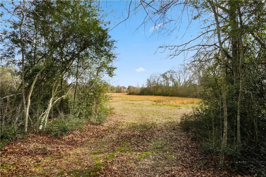 Tract B Boomerang Road, Amite, LA 70422 - #3