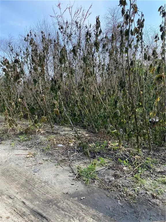 41375 Lawrence Street, New Orleans, LA 70129 - Image #2