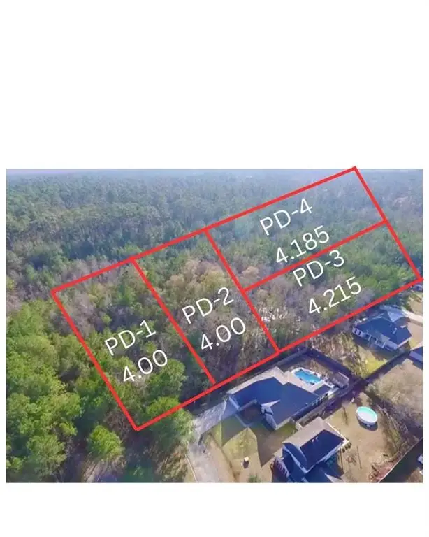 PD-1 Summer Lane, Ponchatoula, LA 70454 - #3