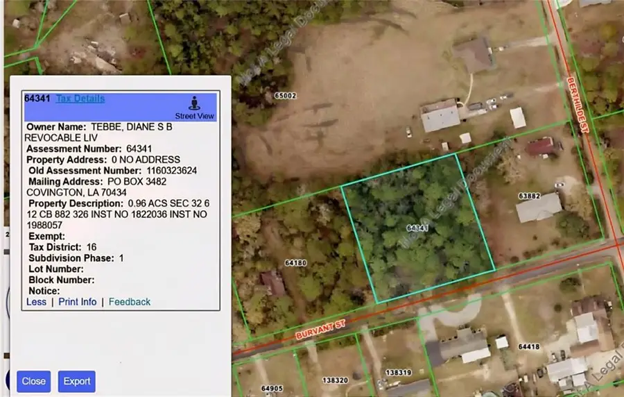 Burvant Street, Abita Springs, LA 70420 - #2