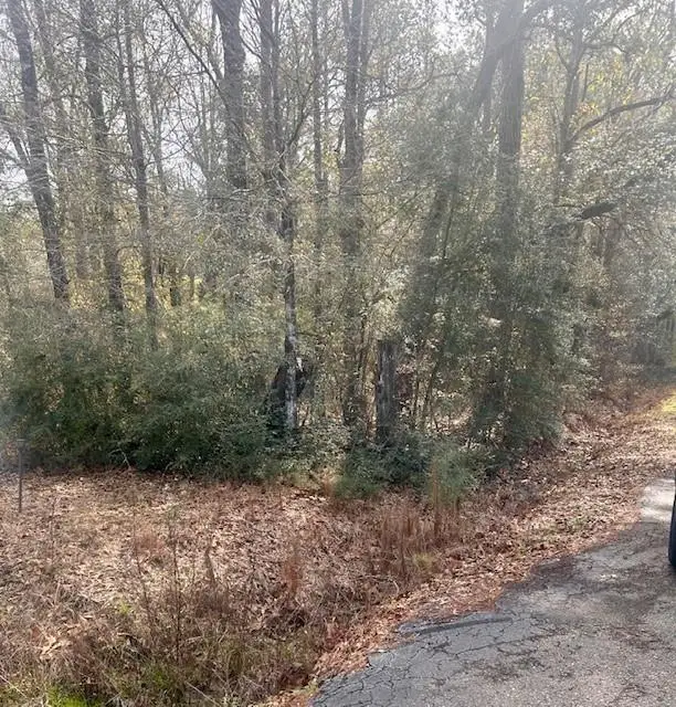 40 Acres Joiner-wymer Road, Covington, LA 70433 - #1