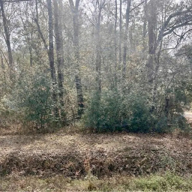 40 Acres Joiner-wymer Road, Covington, LA 70433 - #3