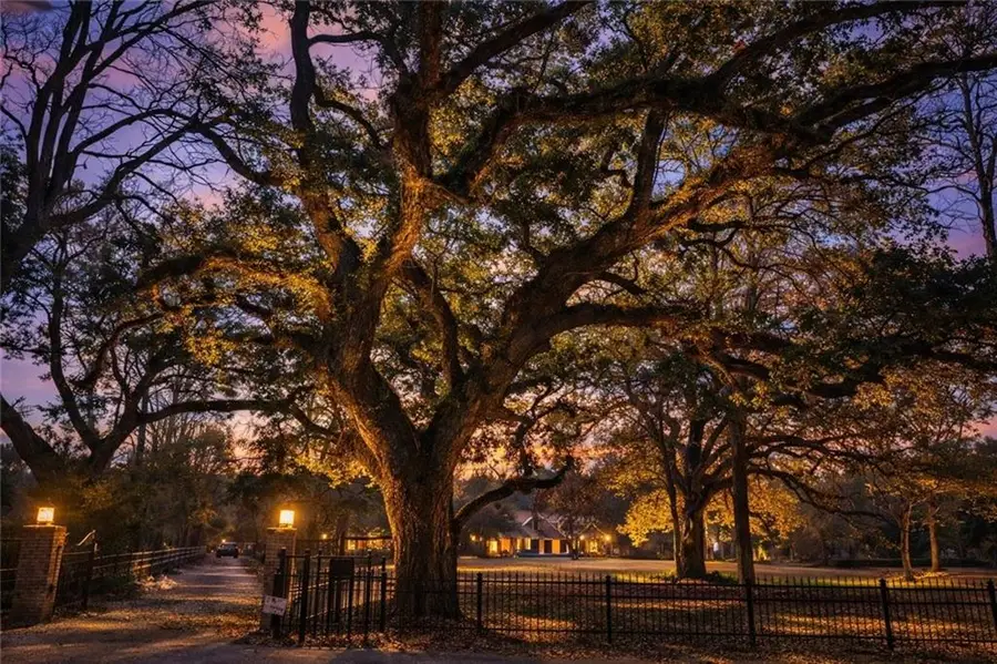 62305 Highway 1091 Highway, Pearl River, LA 70452 - #3