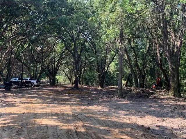 27816 Highway 435 Highway, Abita Springs, LA 70420 - #3