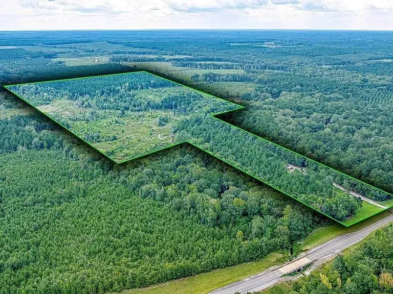 2350 Highway 499, Sikes, LA 71473 - #2