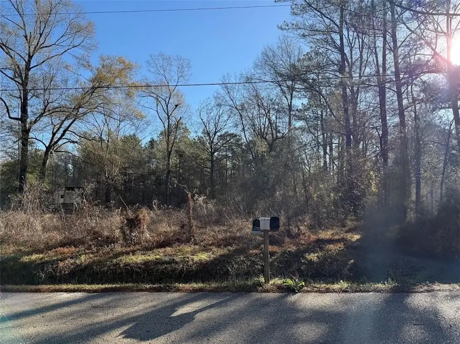 25230 Fire Tower Road, Holden, LA 70744 - #2