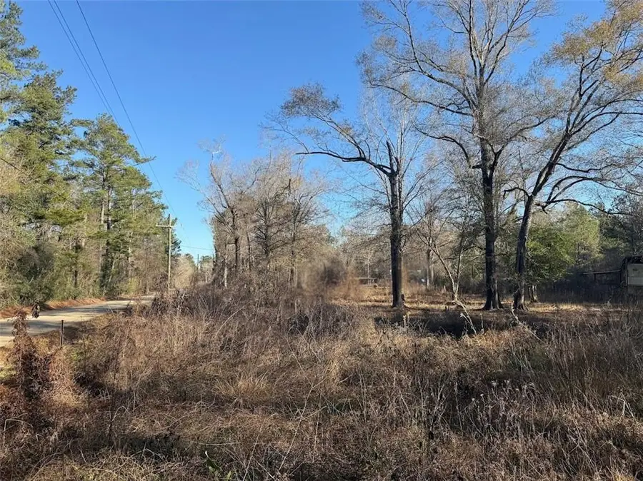 25230 Fire Tower Road, Holden, LA 70744 - #3