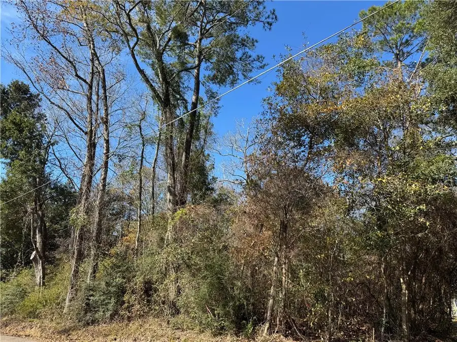 Soult (villere Corner) Street, Mandeville, LA 70448 - #2