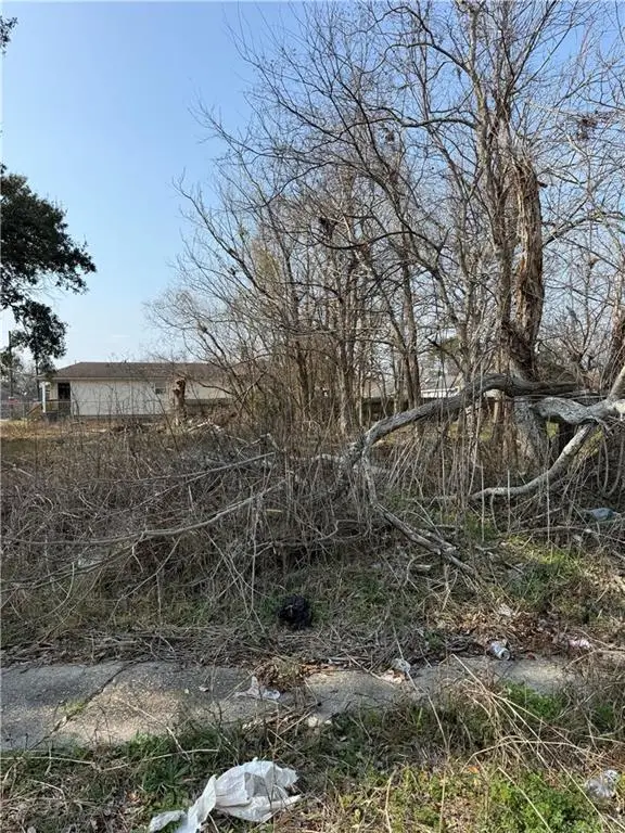 1410 Forstall Street, New Orleans, LA 70117 - #2