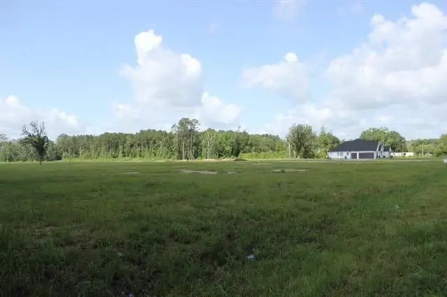 24755 442 Highway, Independence, LA 70443 - #3