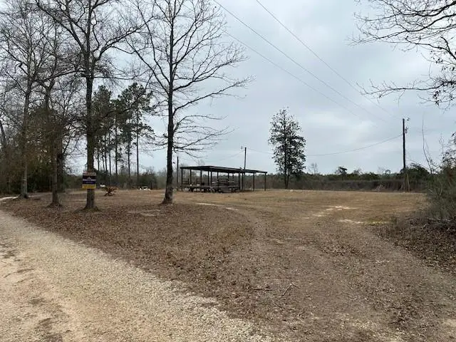 16412 Mccauley Sheridan Road, Bogalusa, LA 70427 - #3