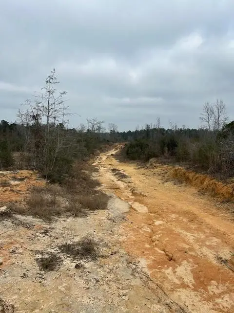 0 Mccauley Sheridan Road, Bogalusa, LA 70427 - #2