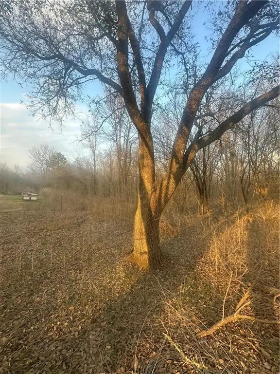 0 River Lane, Marksville, LA 71351 - #2