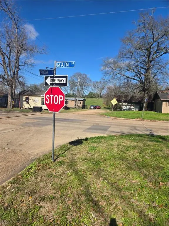 207 Bogan Street, Alexandria, LA 71302 - #3