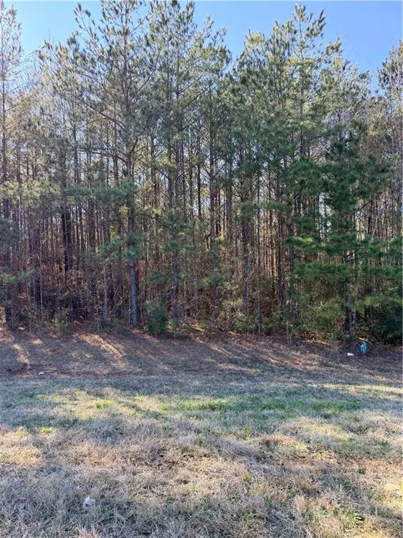 000 Highway 165, Pollock, LA 71467 - #2