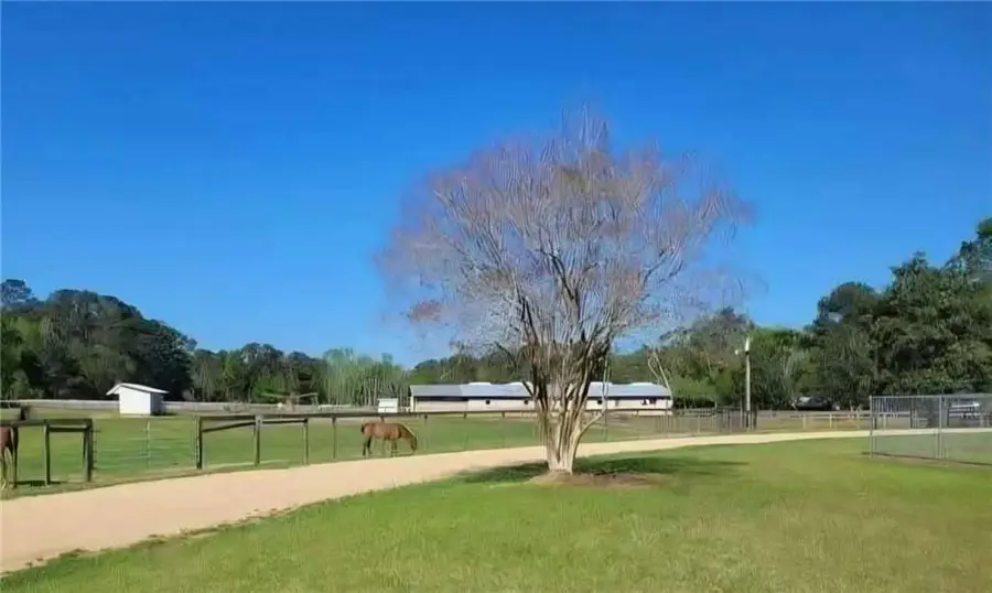 14712 Graci Road, Folsom, LA 70437 - #2