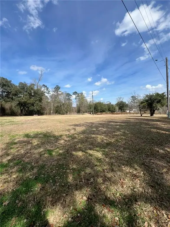 16683 Meissner Road, Springfield, LA 70462 - #2