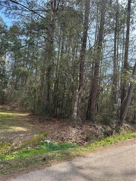 60312 Cerise Drive, Lacombe, LA 70445 - #1