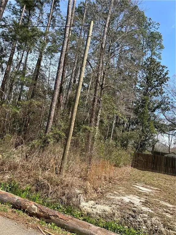 60312 Cerise Drive, Lacombe, LA 70445 - #3