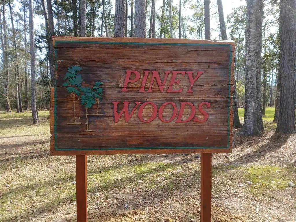 Piney Woods Court, Covington, LA 70433 - #1