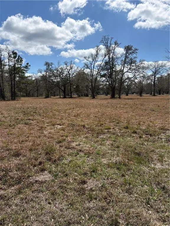 999 Teat Blackwell Road, Pearl River, LA 70452 - #2