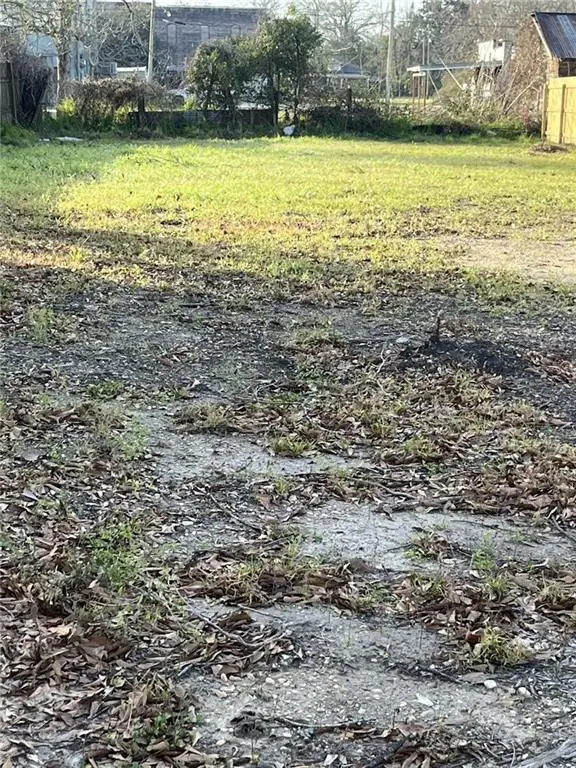 W Wilson Street, Independence, LA 70443 - #3