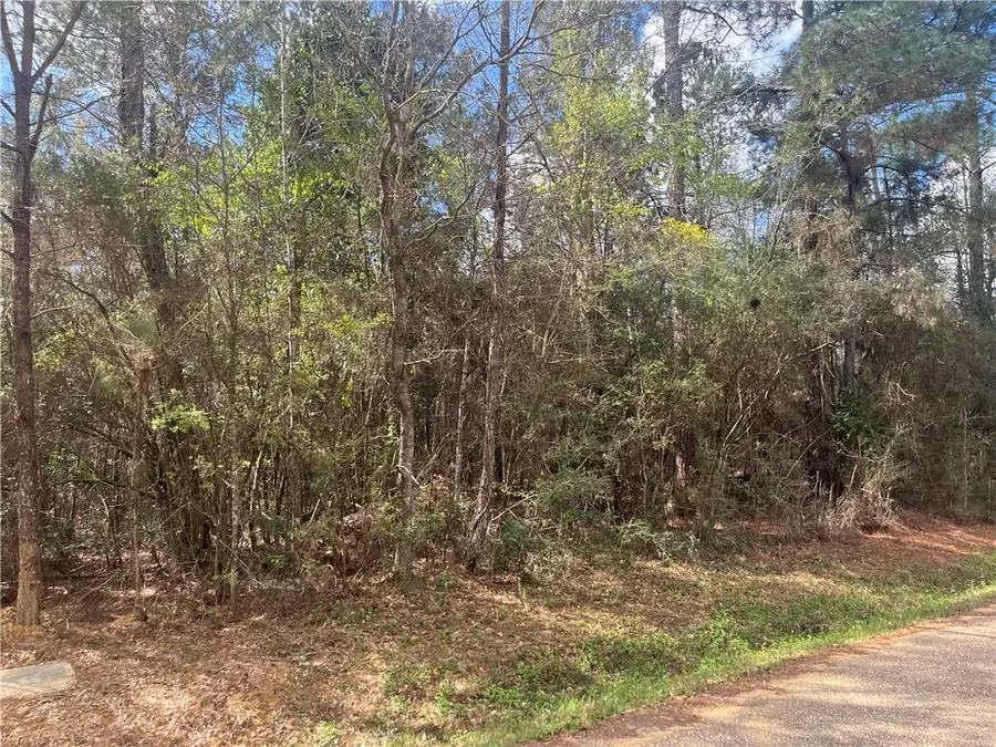 103 Chenel Street, Folsom, LA 70437 - #3