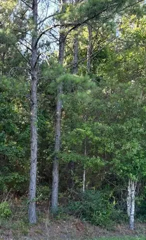 211 Wainwright Road, Pineville, LA 71360 - #2